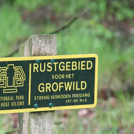 In The Dancing Forest, Cleaning Included Holiday home Garderen