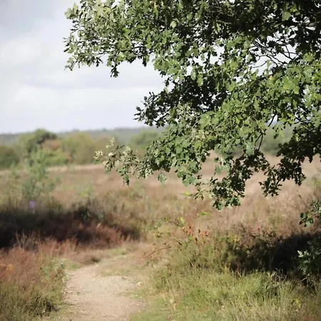 In The Dancing Forest, Cleaning Included Holiday home *