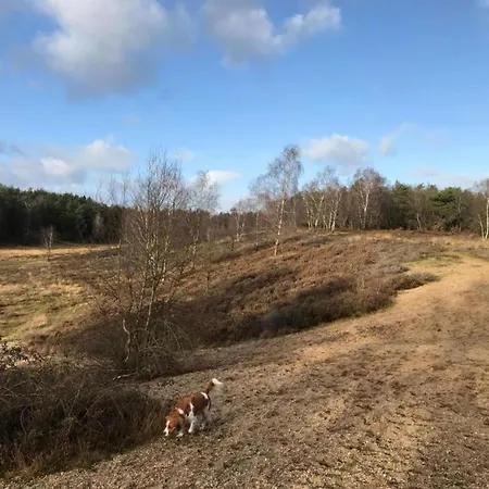 In The Dancing Forest, Cleaning Included * Garderen