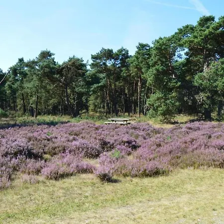 In The Dancing Forest, Cleaning Included