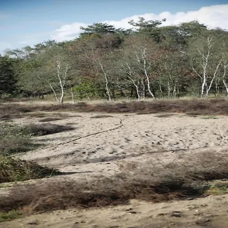 In The Dancing Forest, Cleaning Included Holiday home *