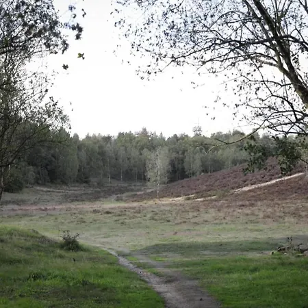 Holiday home In The Dancing Forest, Cleaning Included Garderen