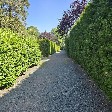 In The Dancing Forest, Cleaning Included Holiday home